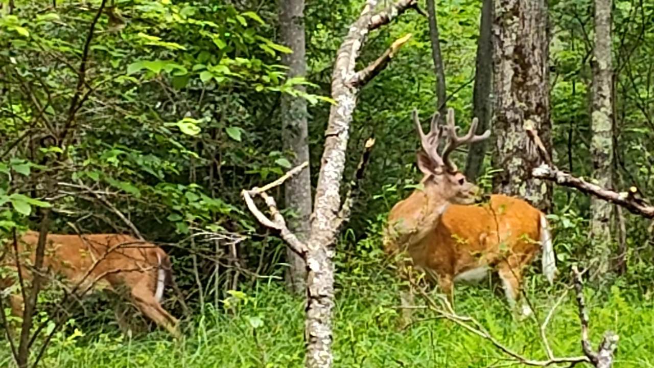 3123 #3621 Essex Road - Photo 1