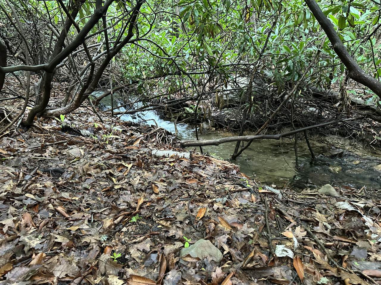 Lot K15 Lincoln Green Dr K15 - Photo 1