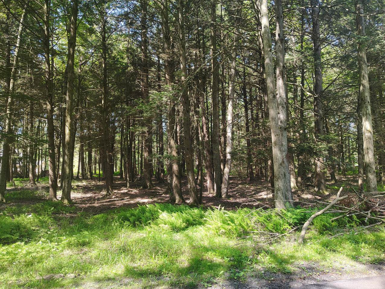  George Dr Drive - Photo 1