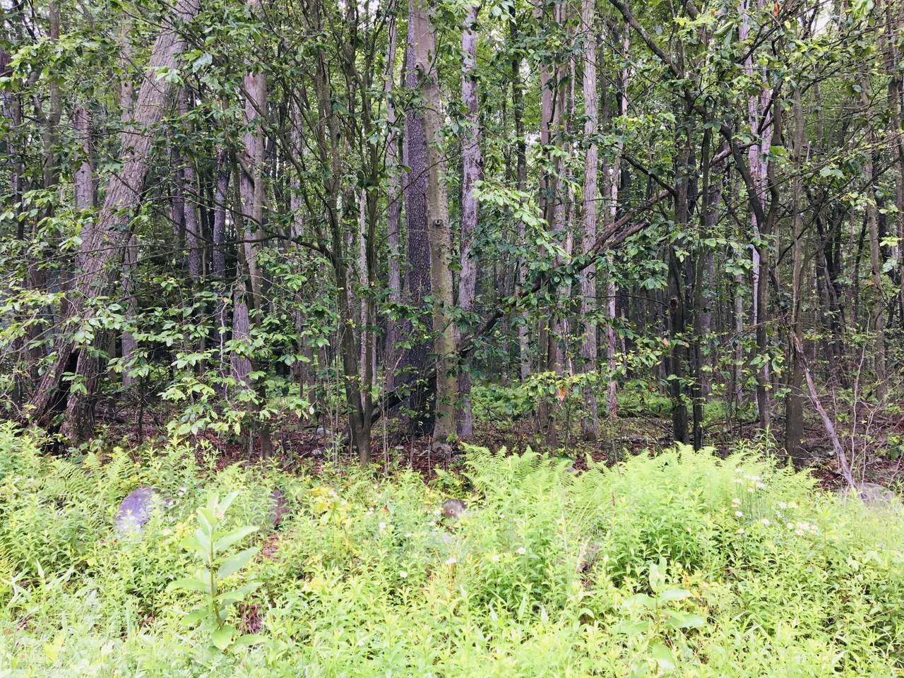 https://bt-photos.global.ssl.fastly.net/pocono/1280_boomver_1_PM-133538-2.jpg