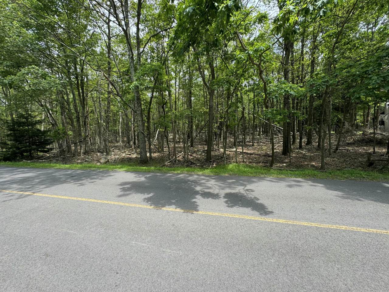 407 Skyline Drive - Photo 1