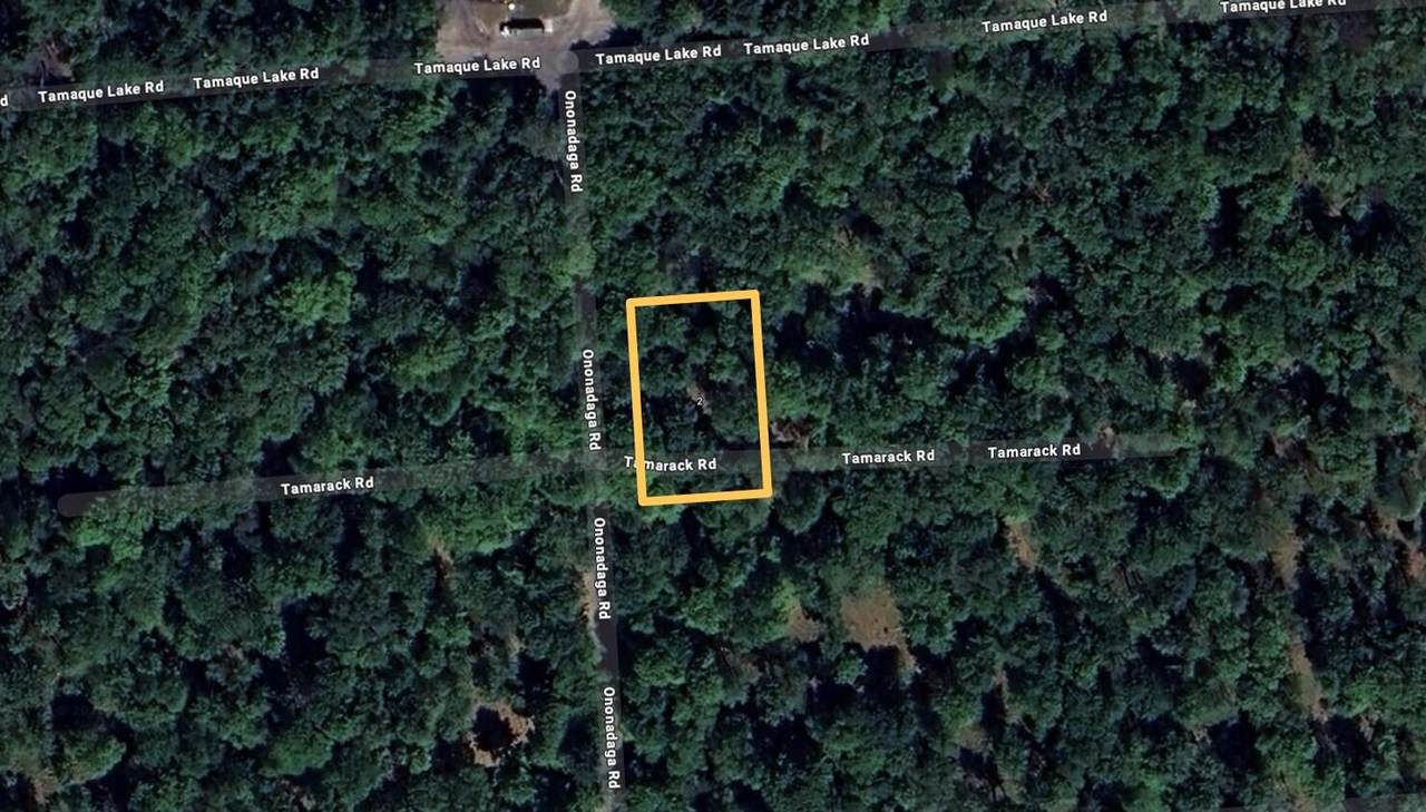  Onondaga Road - Photo 1