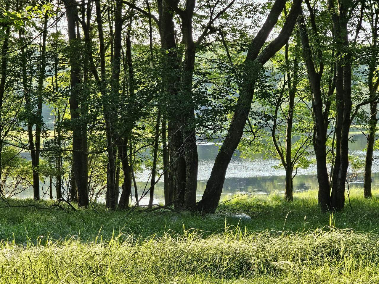 https://bt-photos.global.ssl.fastly.net/pocono/1280_boomver_1_PM-133714-2.jpg