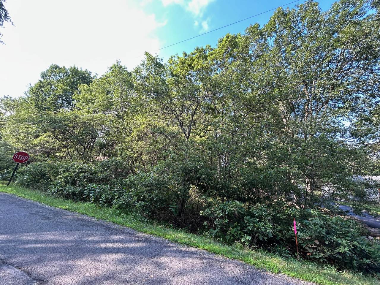 Lot F534 Pinoak Drive - Photo 1
