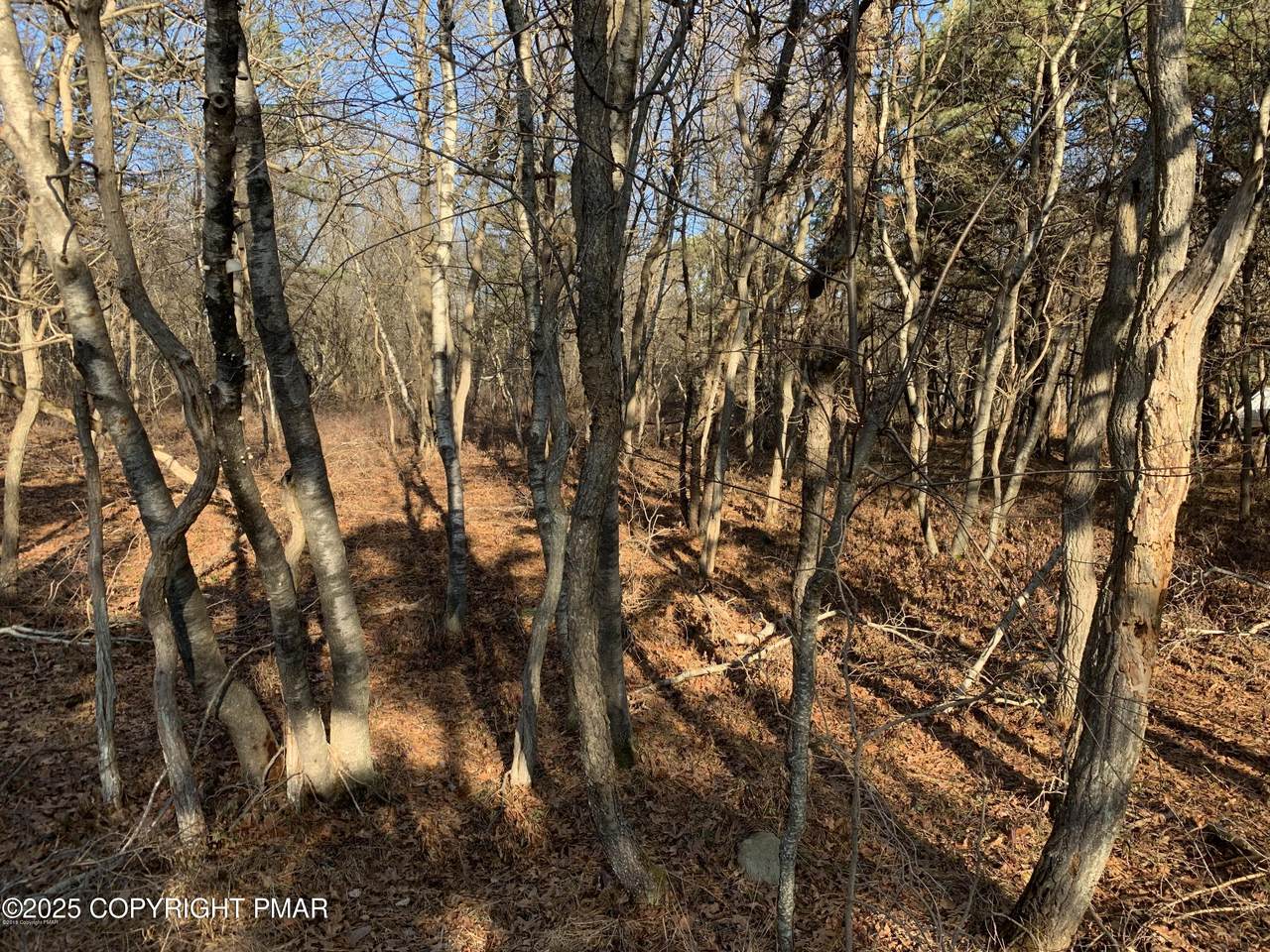 1491 Chippewa Trail - Photo 1