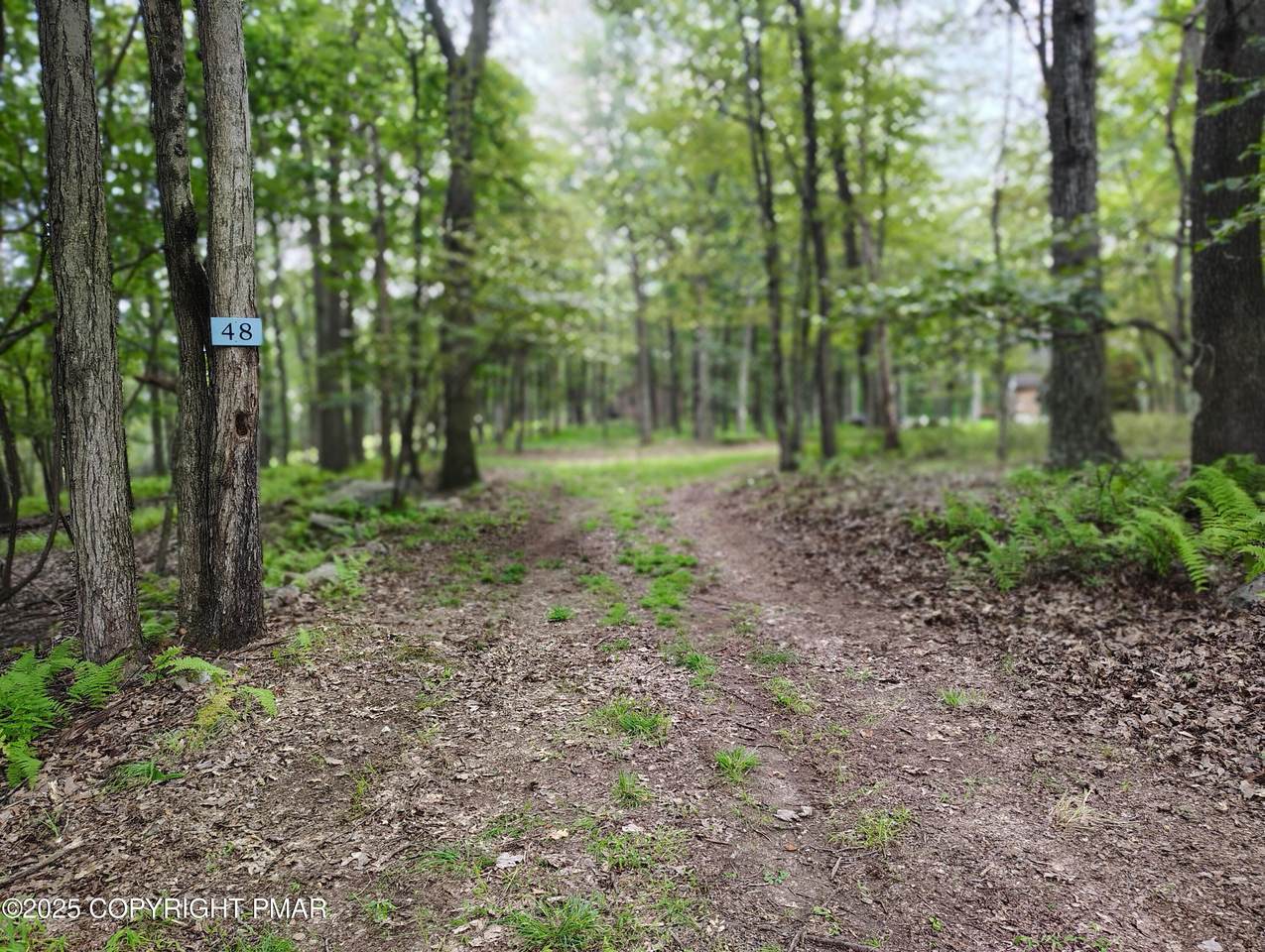 lot 48 Mountain Terrace - Photo 1