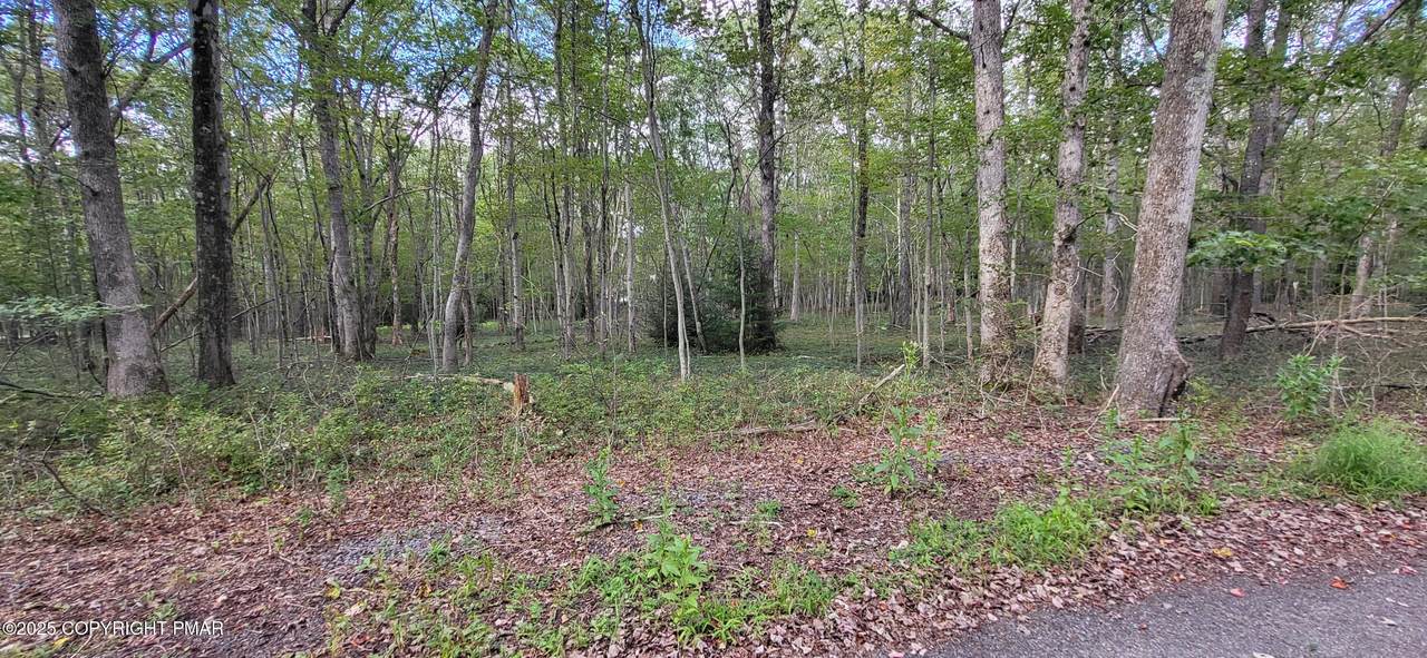  Poplar Lane - Photo 1