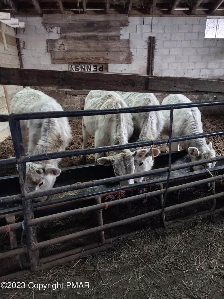 67 Sterling Road - Photo 1