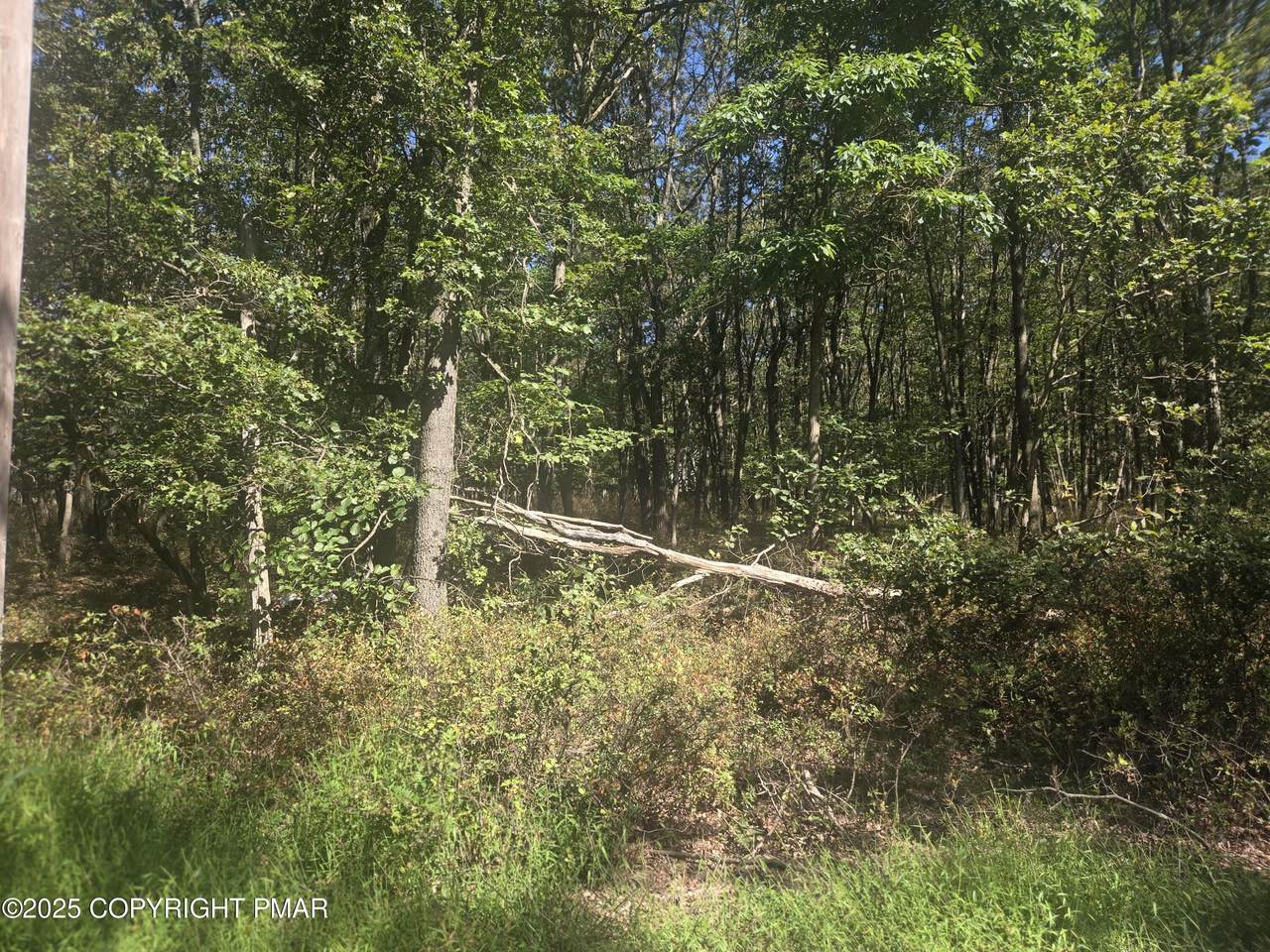 0 Ute Trail - Photo 1