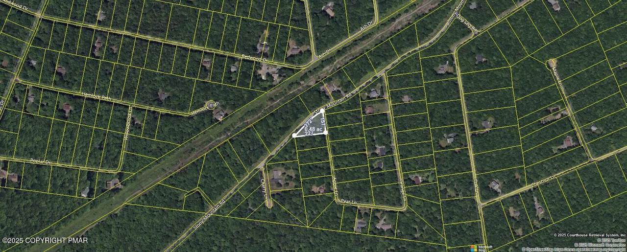 A591 Apple Lane & Stony Mtn - Photo 1