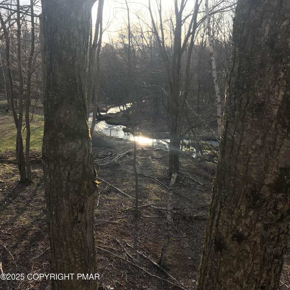 Lot 119 Mountain Rd - Photo 1