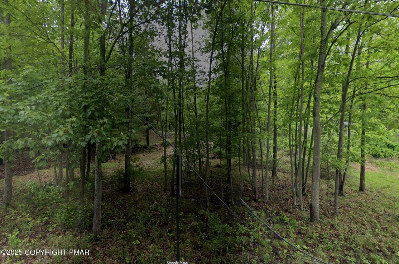 201 Upper Lakeview Drive - Photo 1