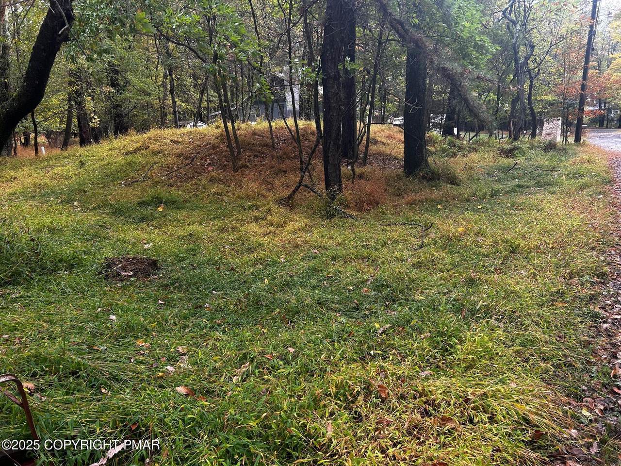  Johns Road - Photo 1