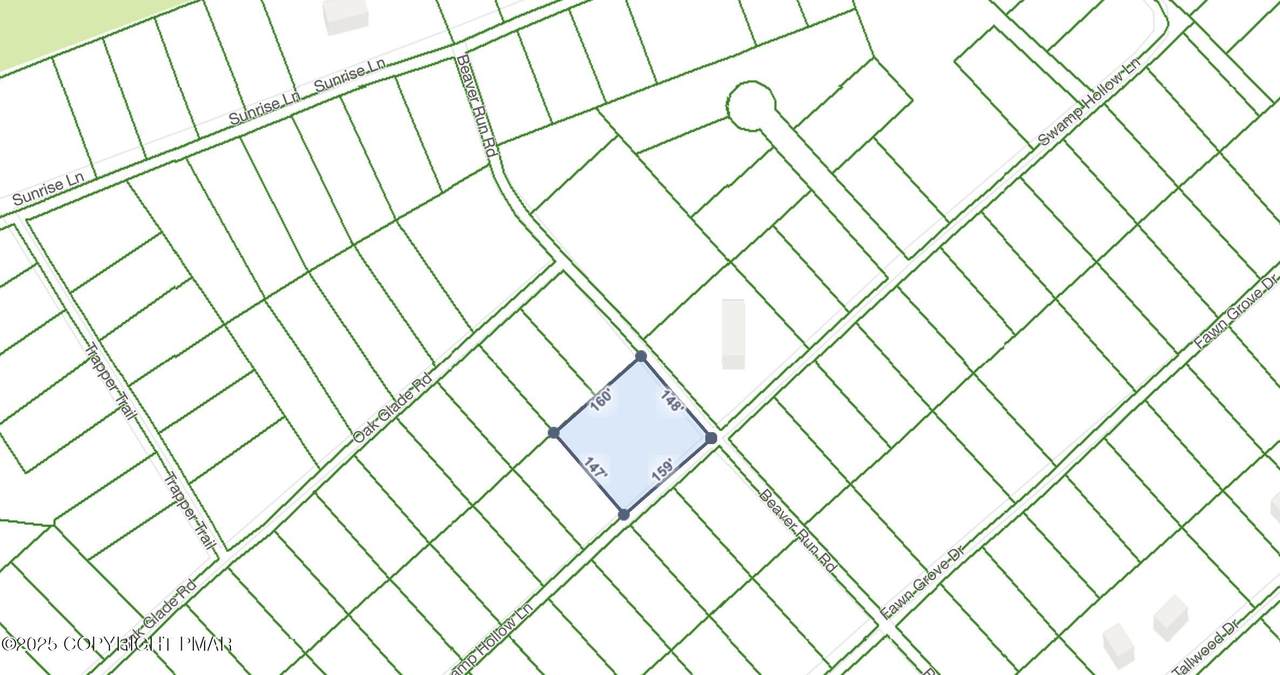  Swamp Hollow Lane & Beaver Run - Photo 1