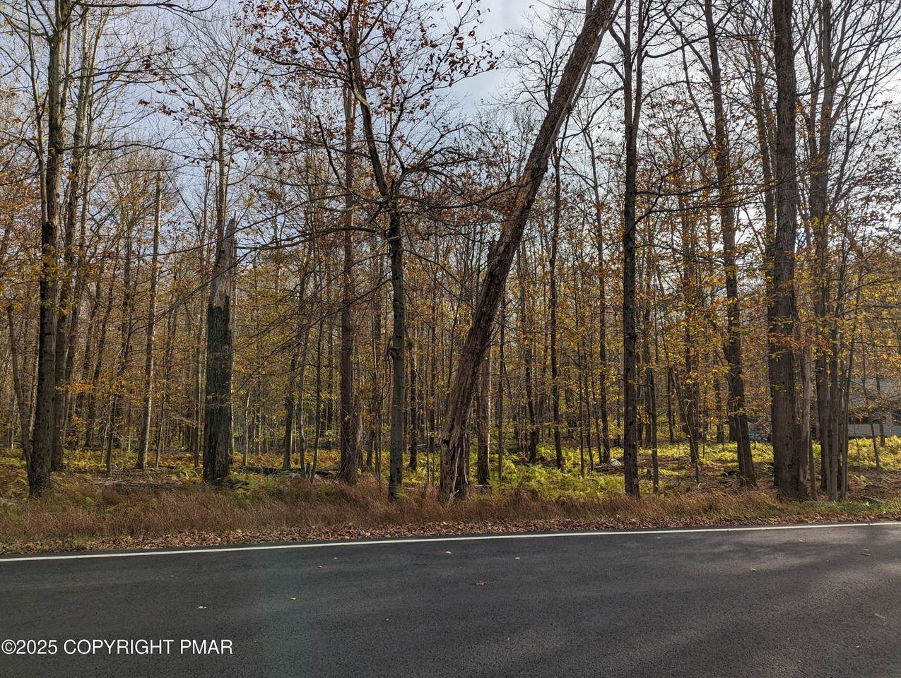 2809 Eaglesview Drive - Photo 1