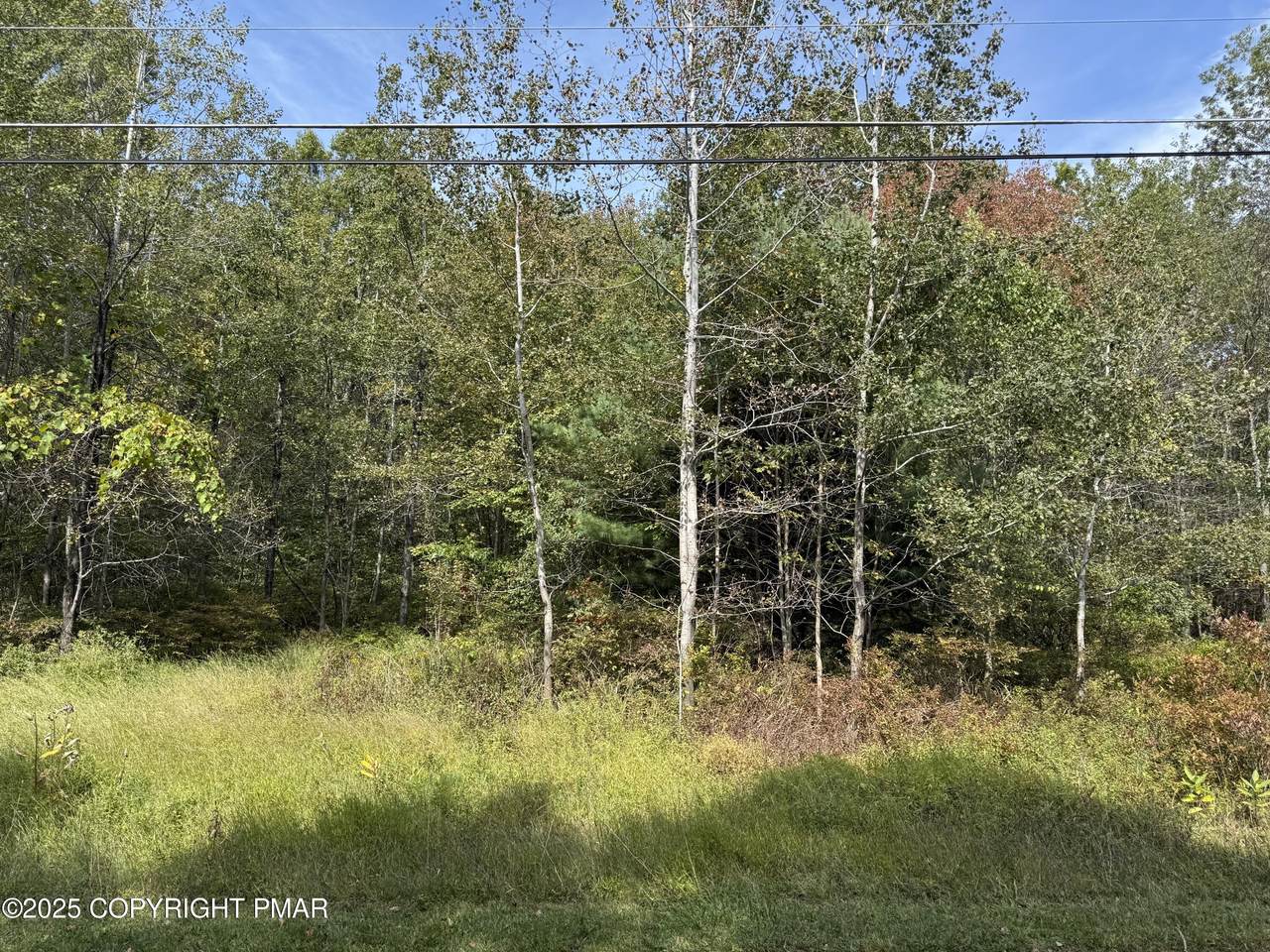 223 Wolf Drive - Photo 1