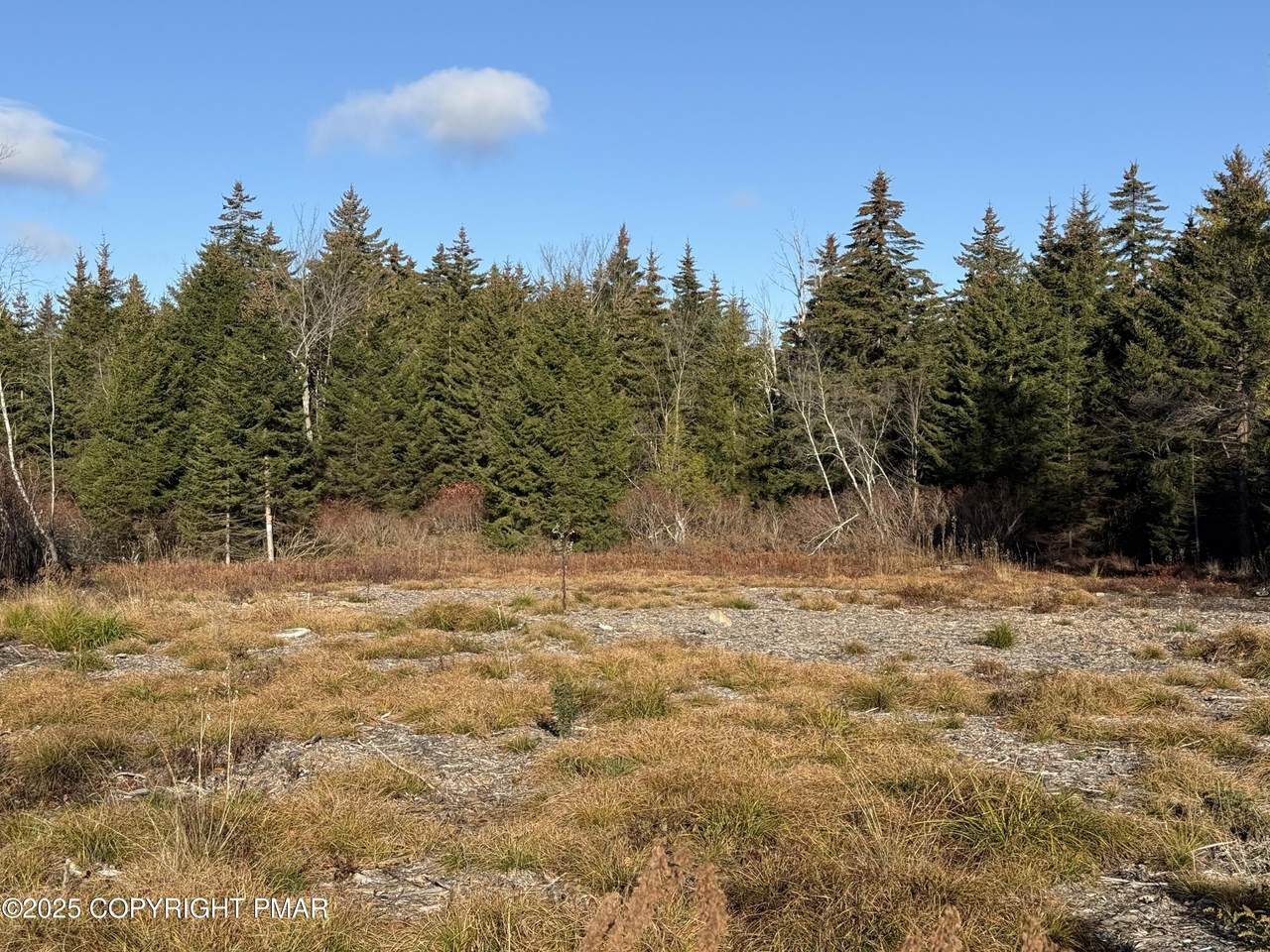 12 Laurel View Ln - Photo 1