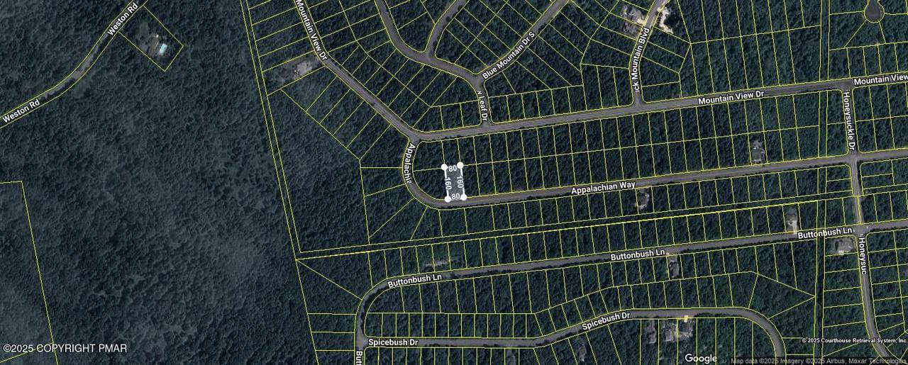  Appalachian Way - Photo 1