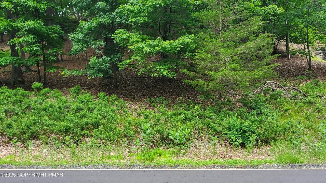 https://bt-photos.global.ssl.fastly.net/pocono/1280_boomver_1_PM-137317-2.jpg