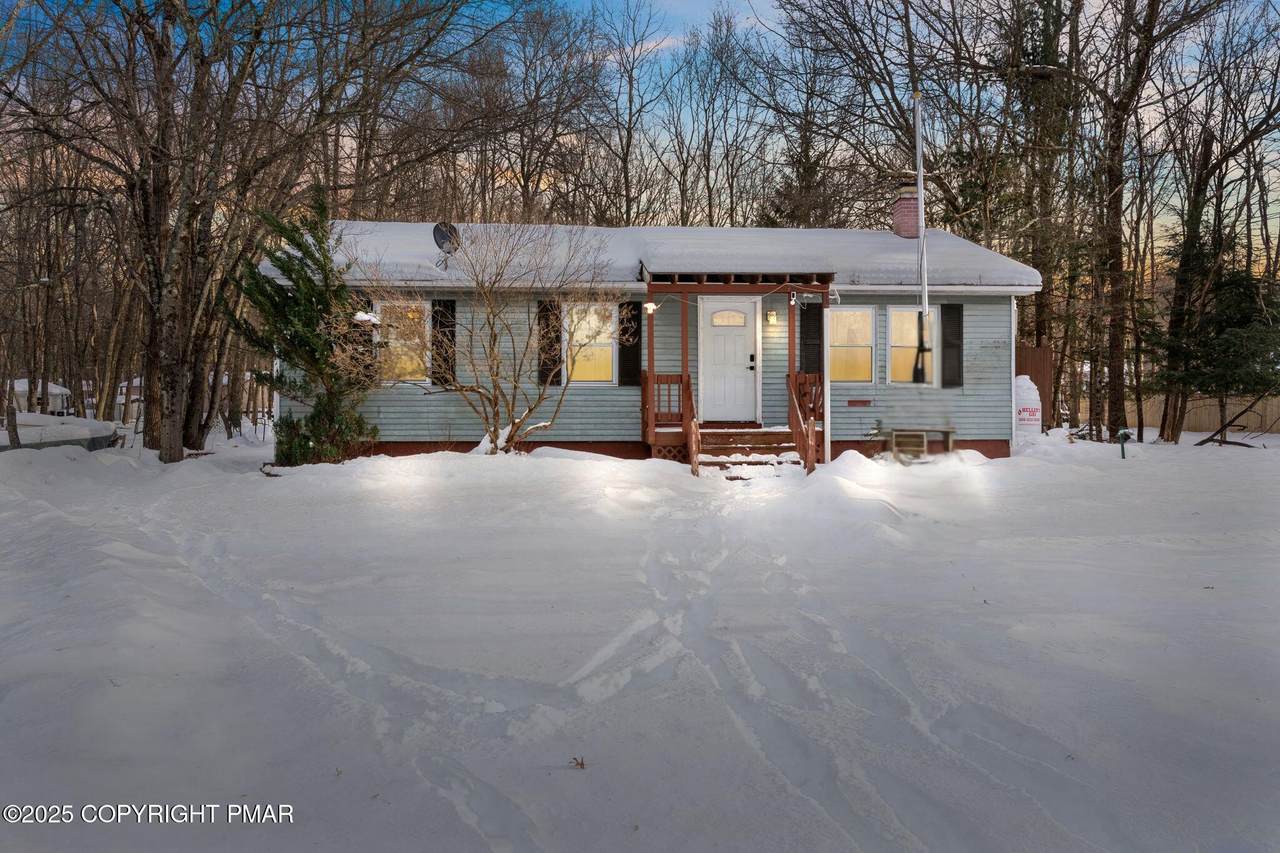 10 White Birch Way - Photo 1