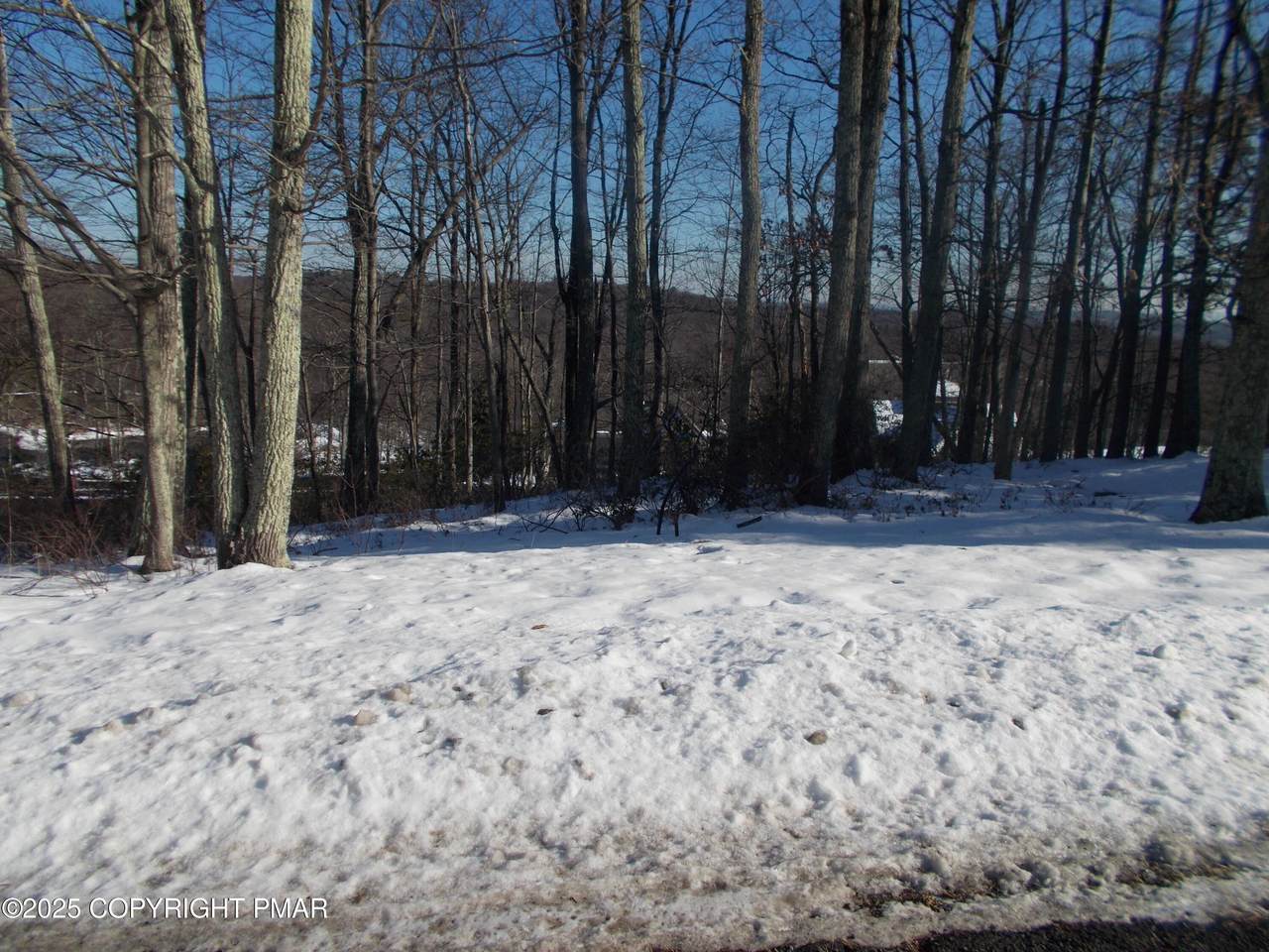 78 High Mountain Lane - Photo 1