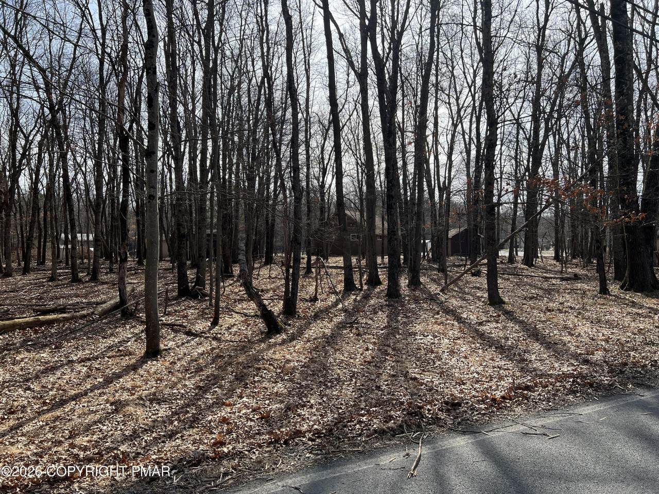 503A Woodland Road - Photo 1