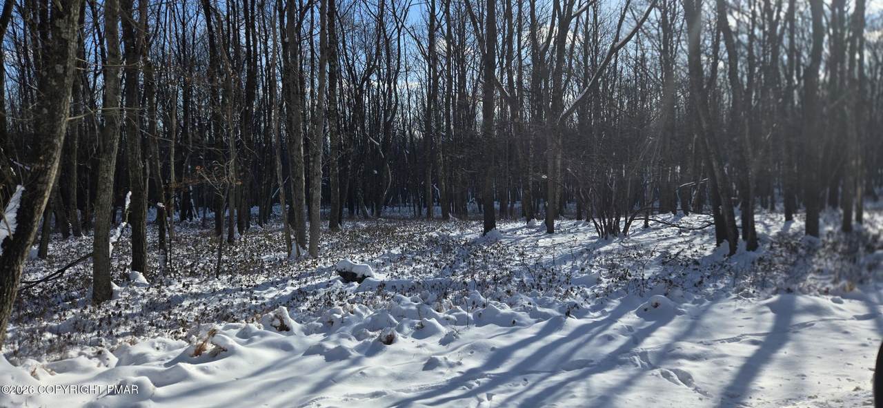 EP2106 Old Stage Road - Photo 1