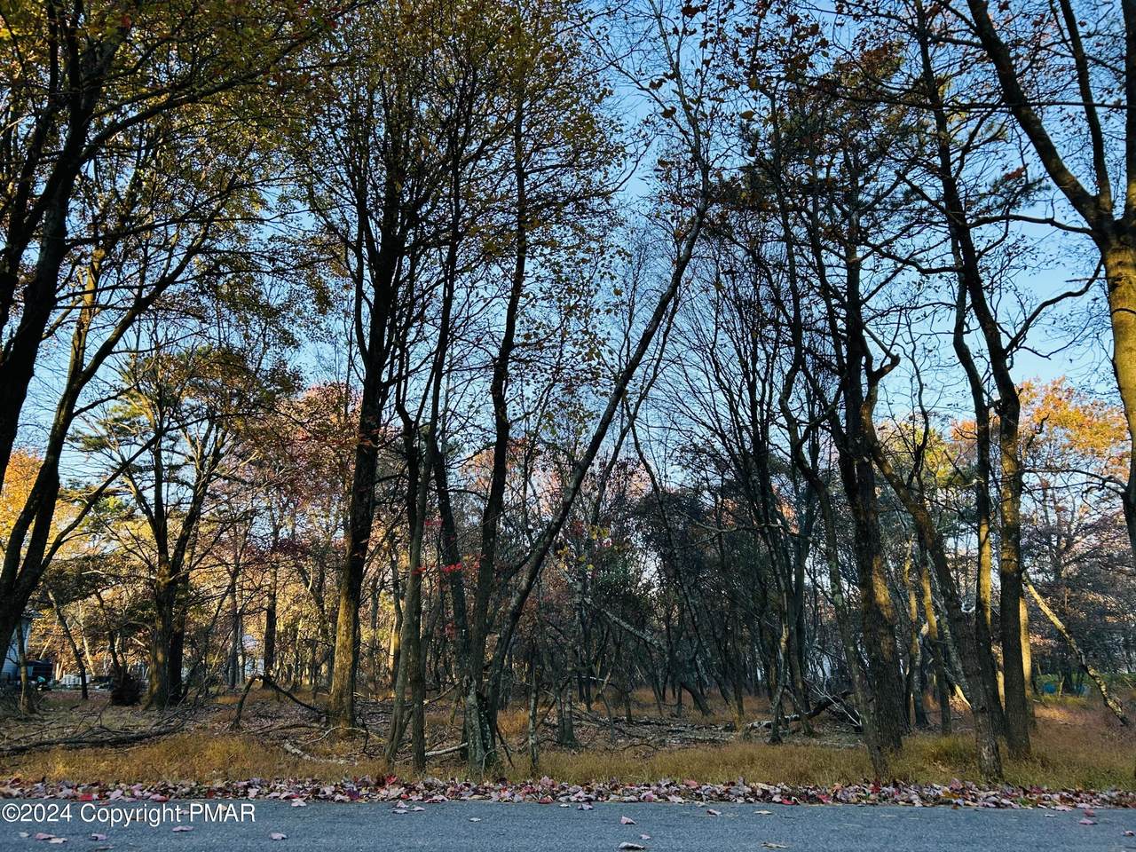 1807 Penn Forest Drive - Photo 1