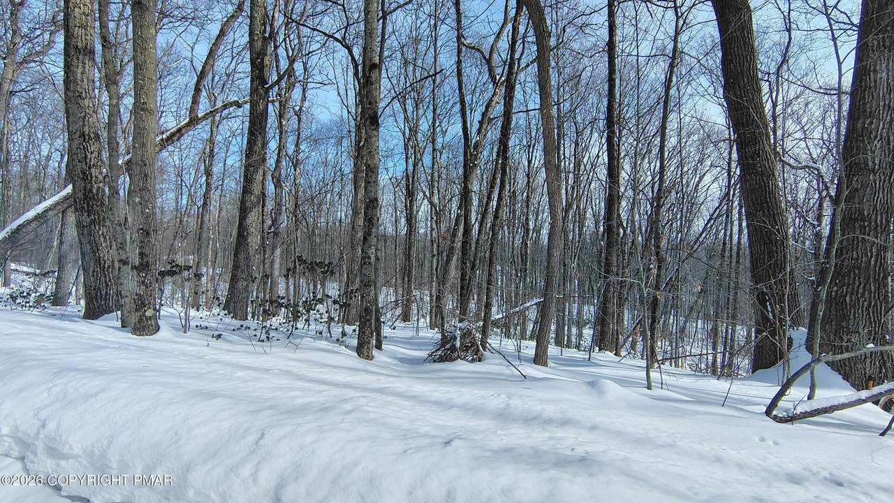 https://bt-photos.global.ssl.fastly.net/pocono/1280_boomver_1_PM-138553-2.jpg