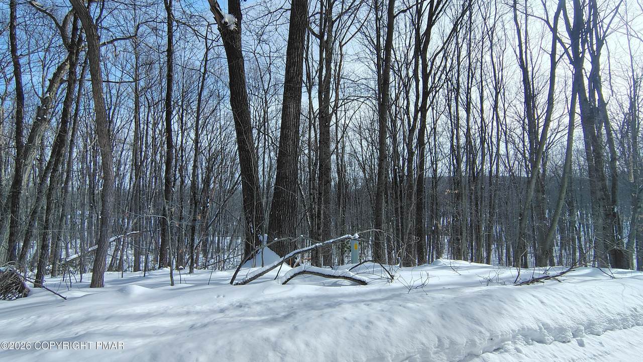 https://bt-photos.global.ssl.fastly.net/pocono/1280_boomver_1_PM-138553-2.jpg