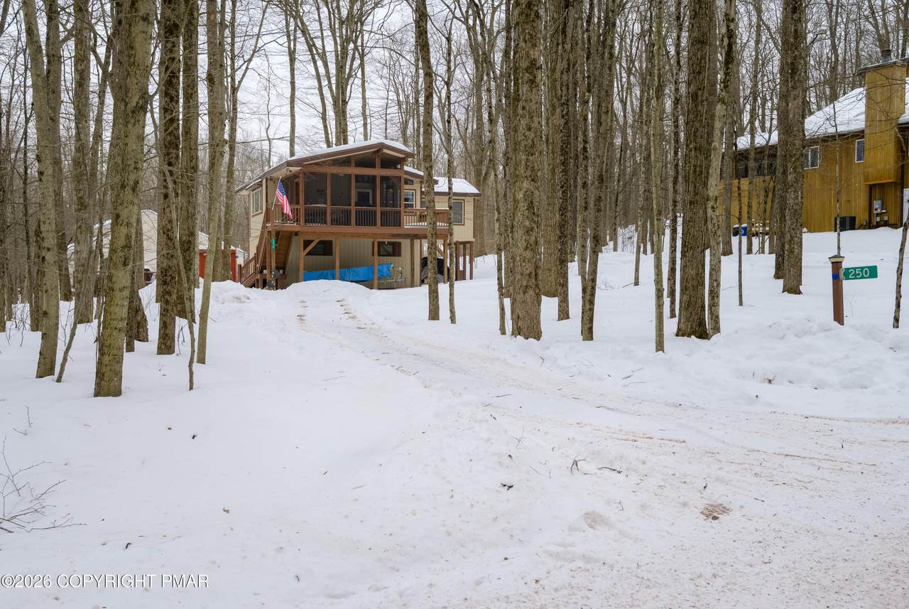 250 White Pine Drive - Photo 1