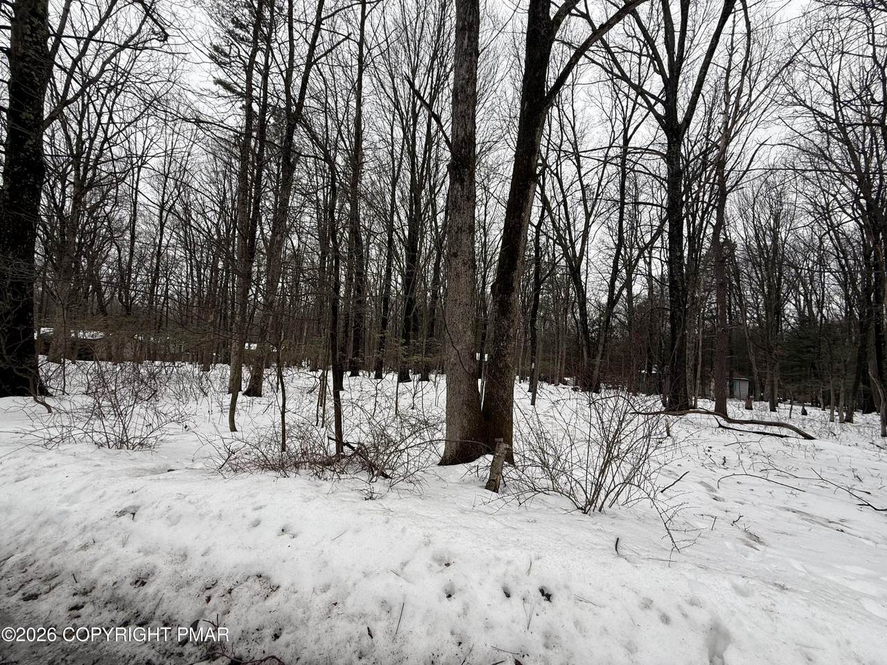 https://bt-photos.global.ssl.fastly.net/pocono/1280_boomver_1_PM-138972-2.jpg