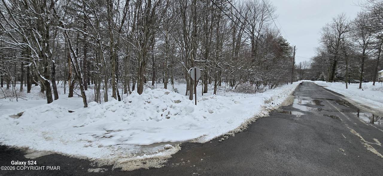  Minisink Trail & Chippewa Trail - Photo 1