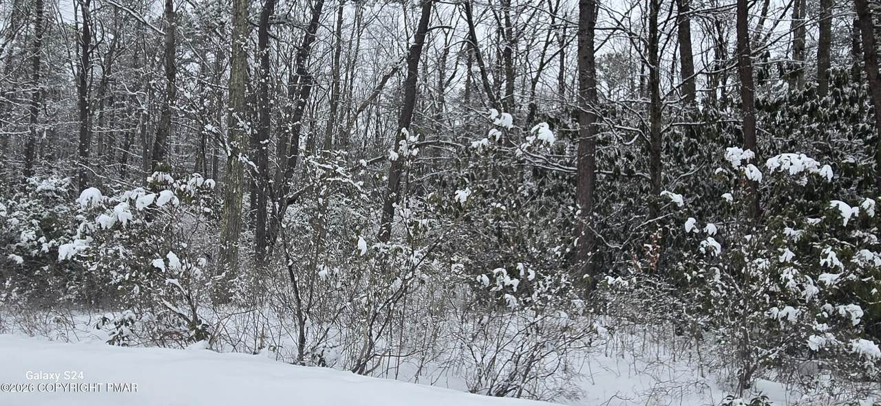  Sycamore Drive - Photo 1