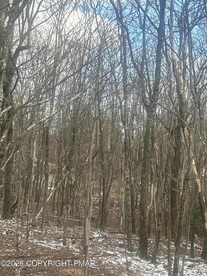 719, 721 Wenatche Trail - Photo 1