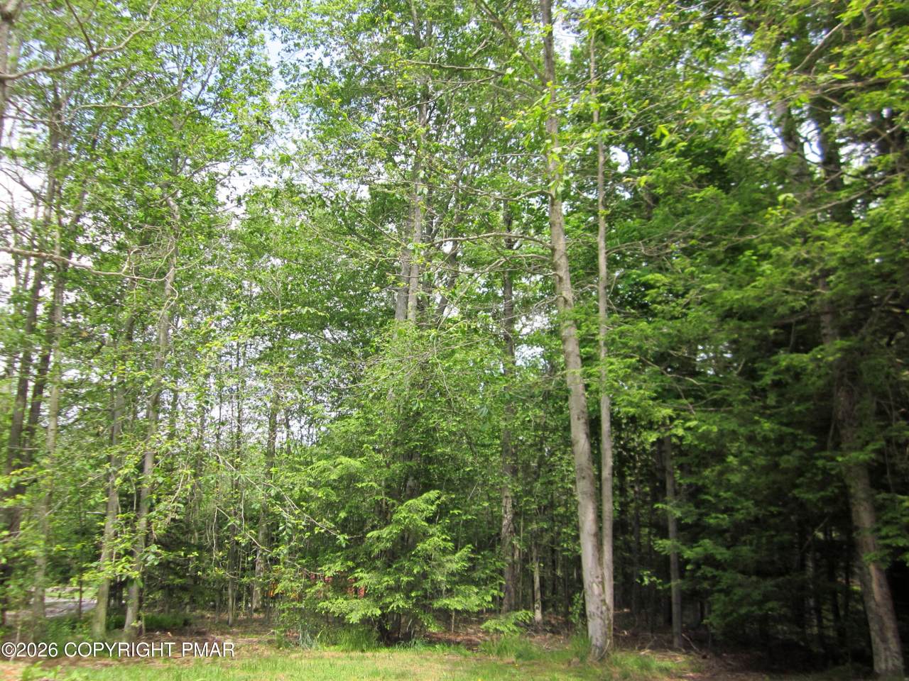 https://bt-photos.global.ssl.fastly.net/pocono/1280_boomver_1_PM-142154-2.jpg
