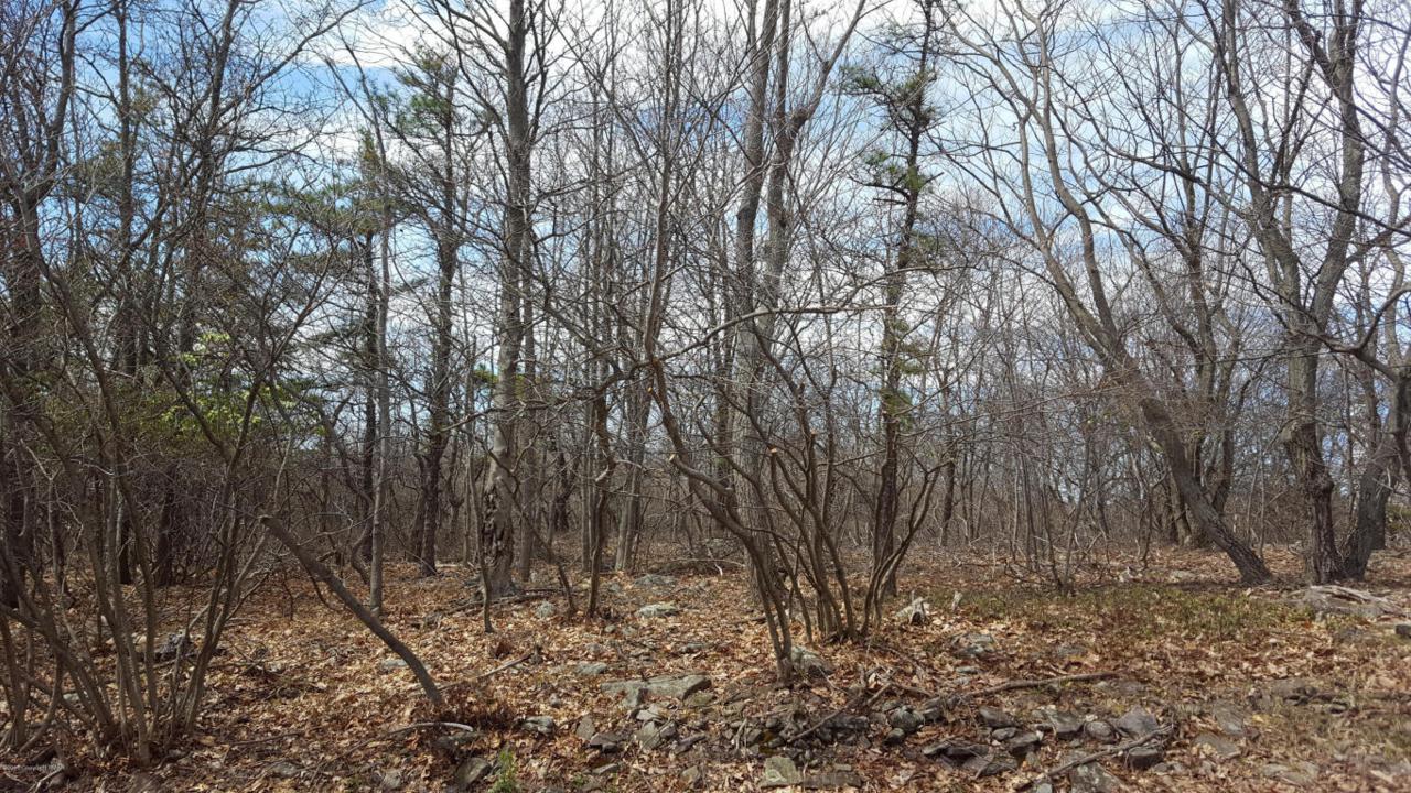 417 Dogwood Terr - Photo 1