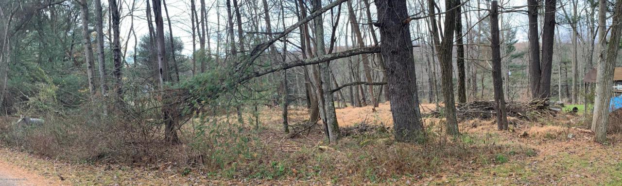 Rte 447 - Photo 1