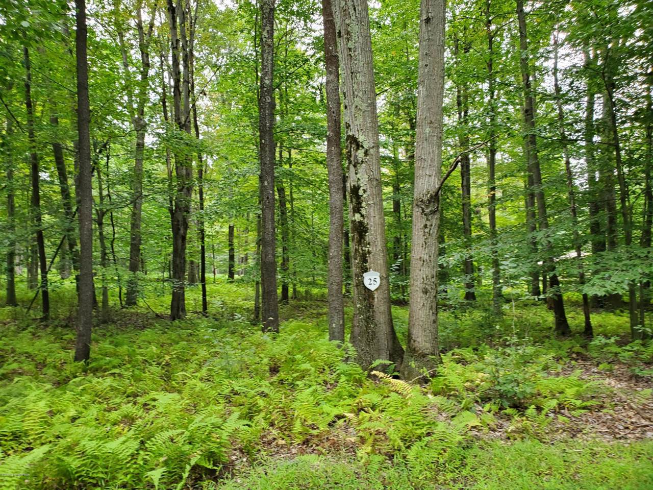 25 Oak Leaf Ln - Photo 1