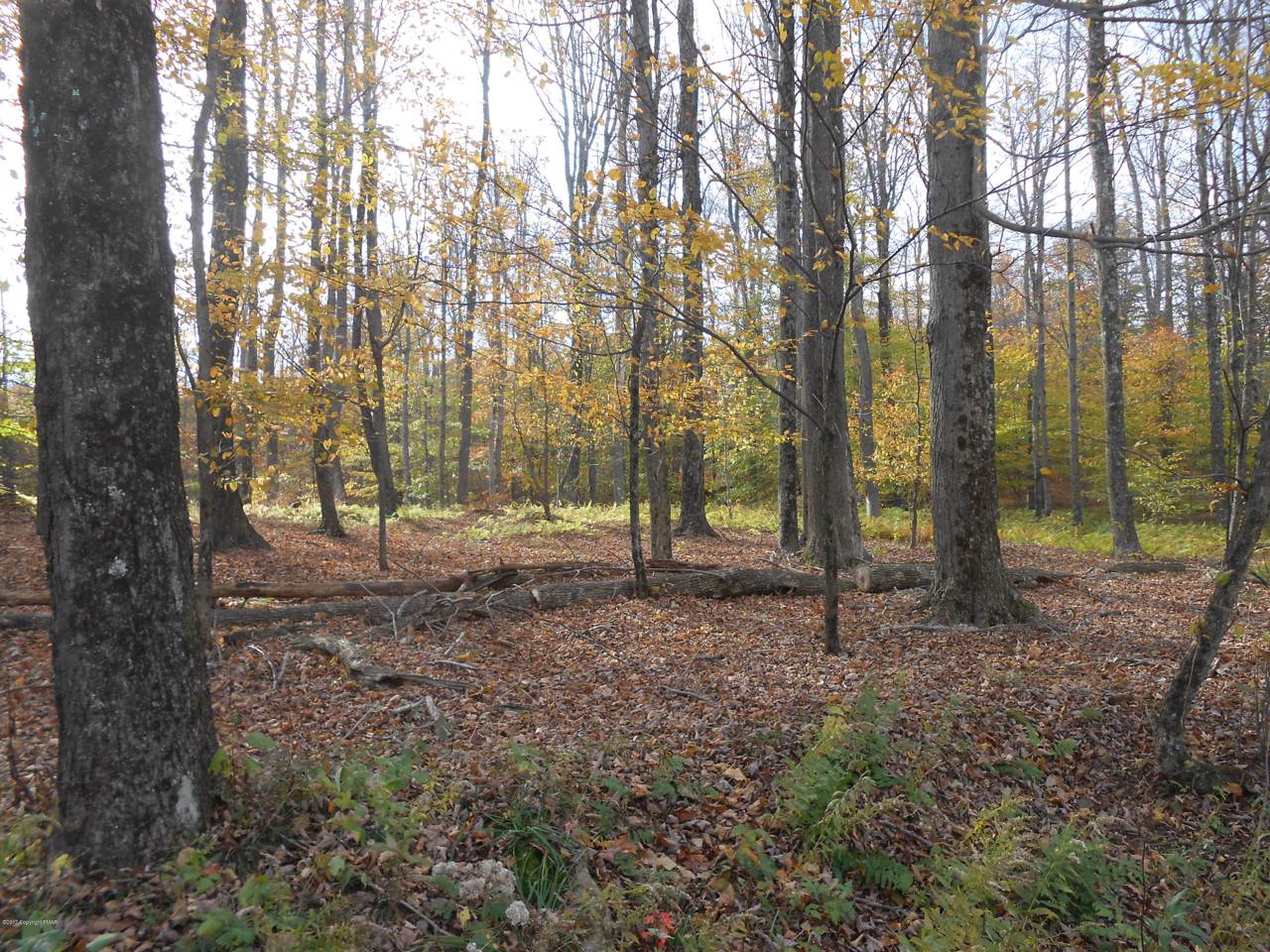Lot 28 Grenoble Drive - Photo 1