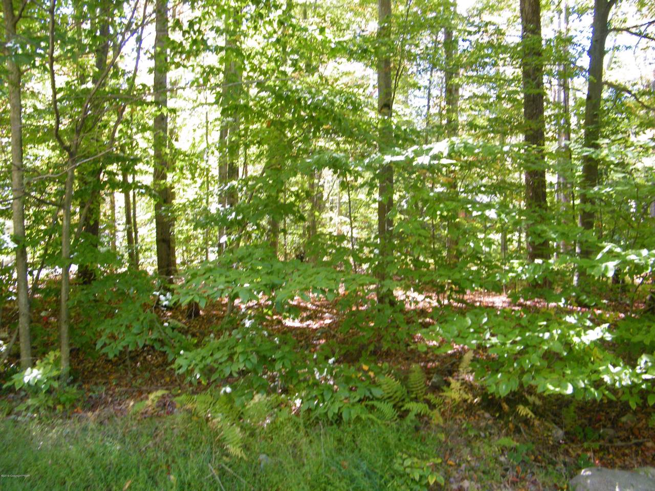 Manor Hill Road - Photo 1