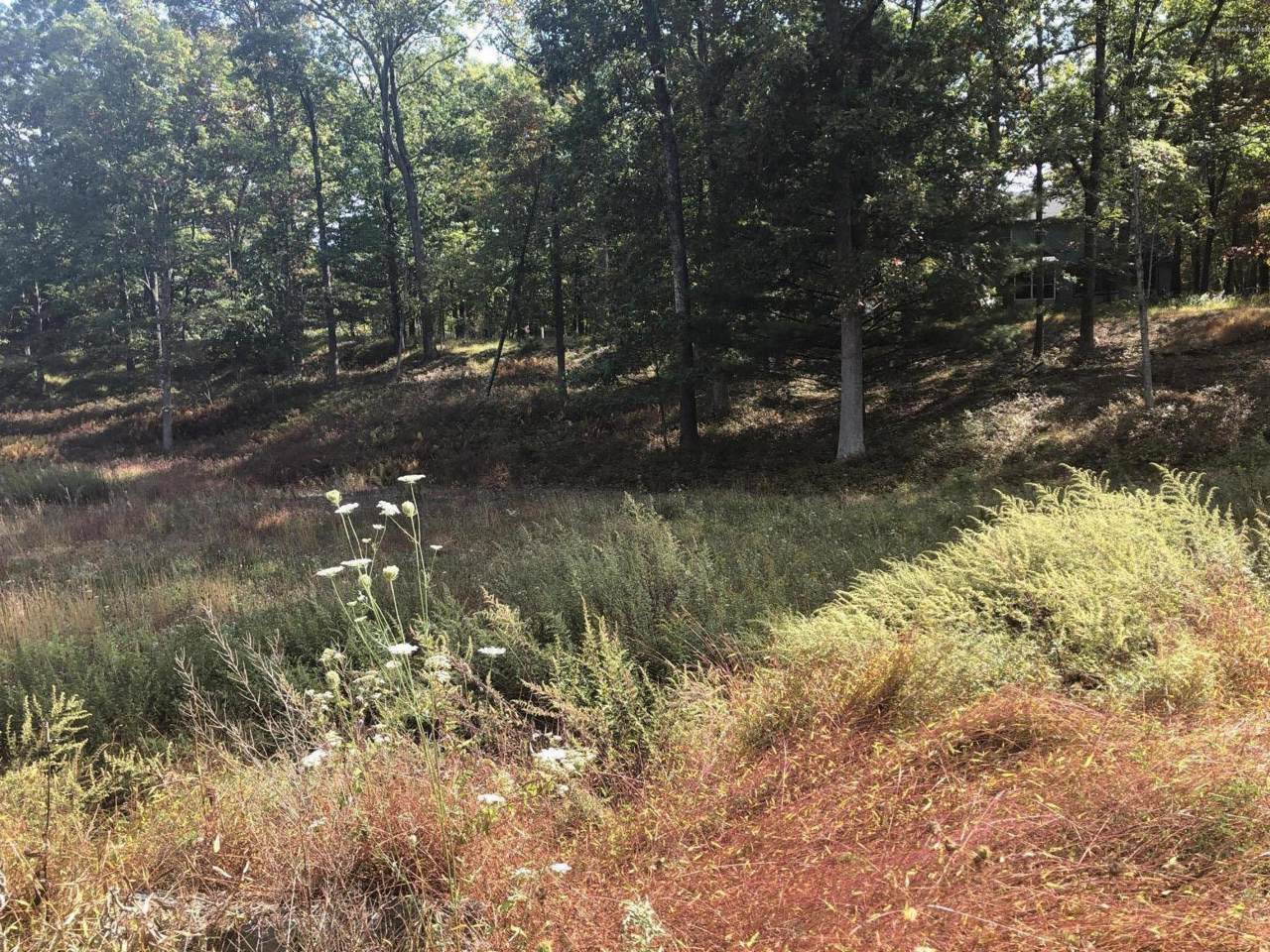 Arapahoe Drive -Lot 605 Plot 2 - Photo 1