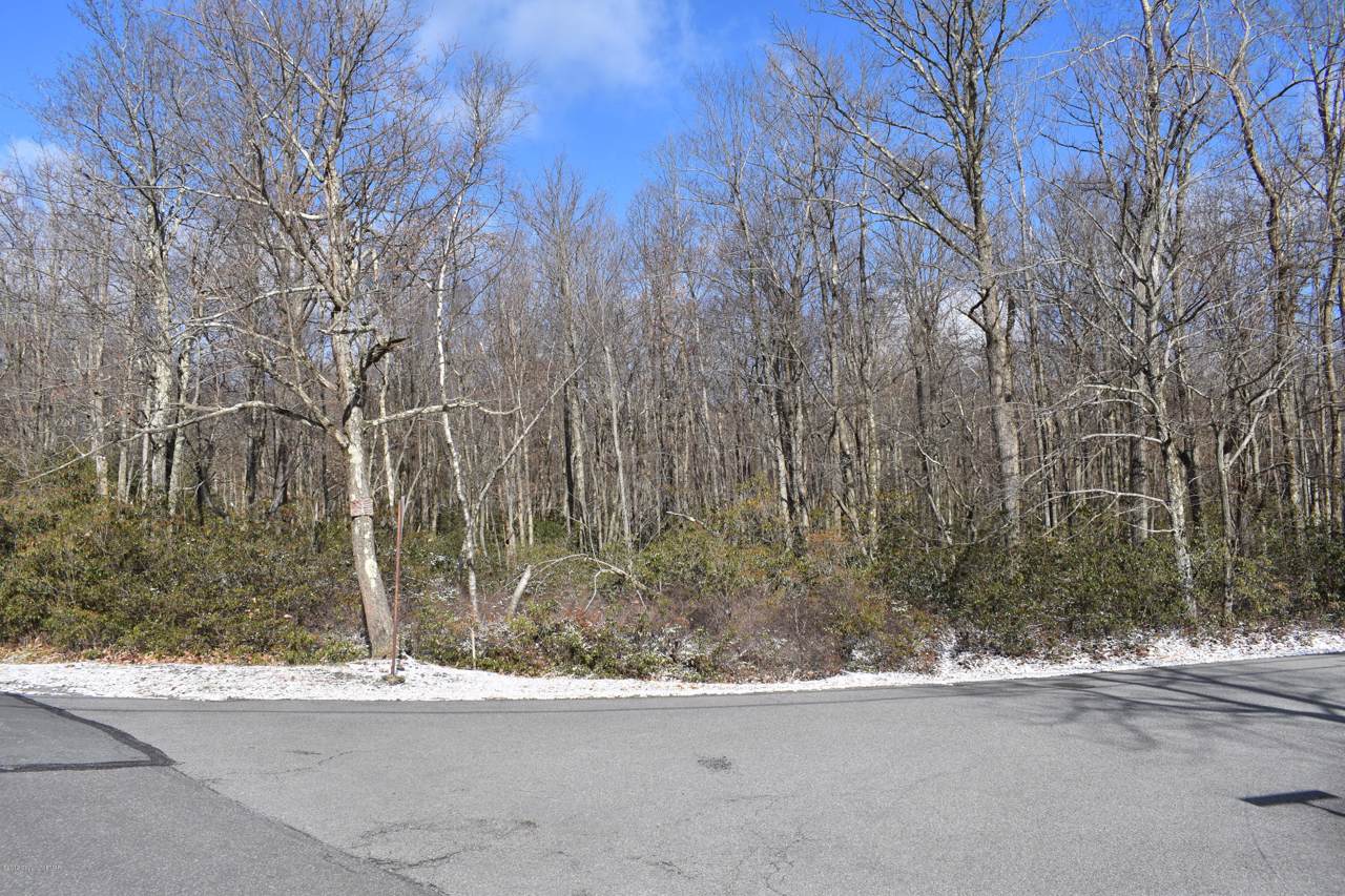 LOT 464 Susquehanna Drive & Forest L Dr - Photo 1