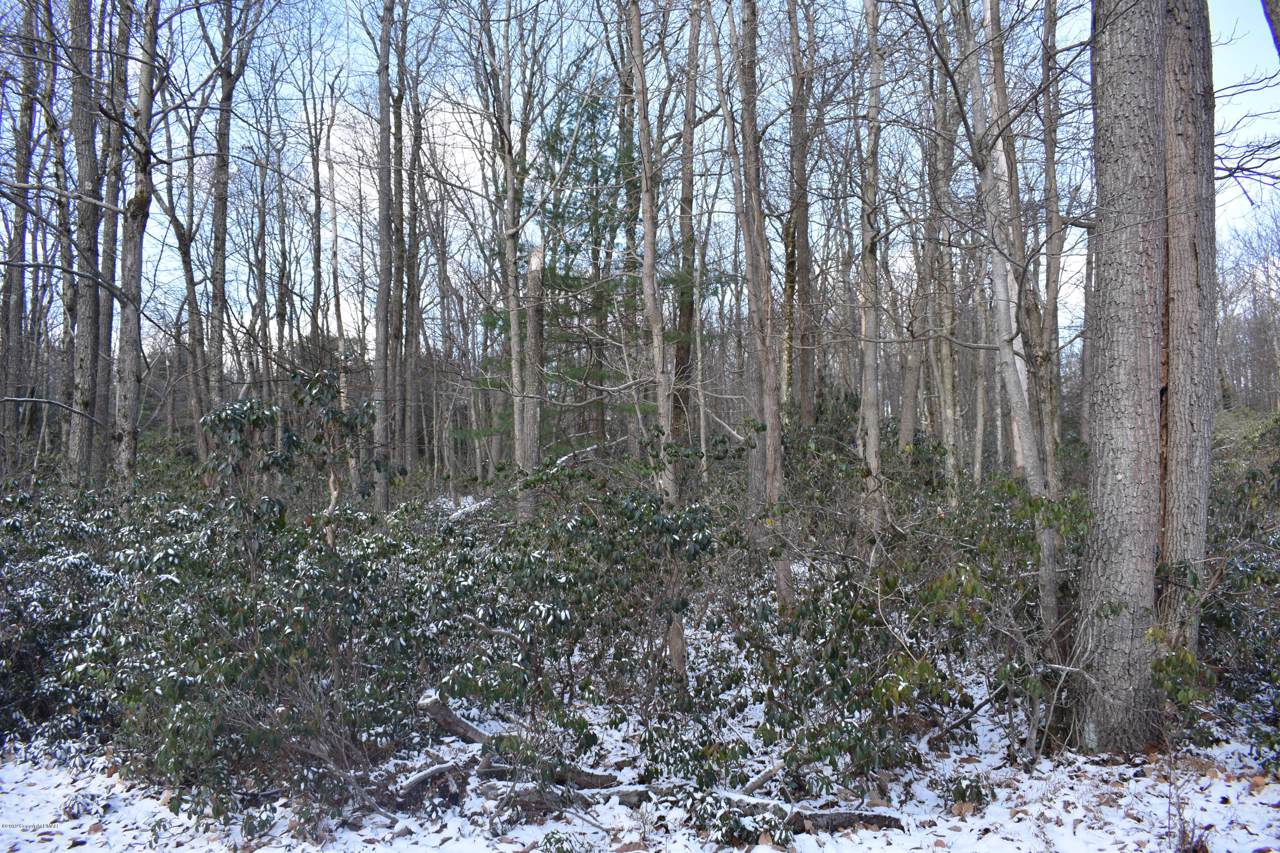 LOT E445 Susquehanna Drive & Choctaw Rd - Photo 1