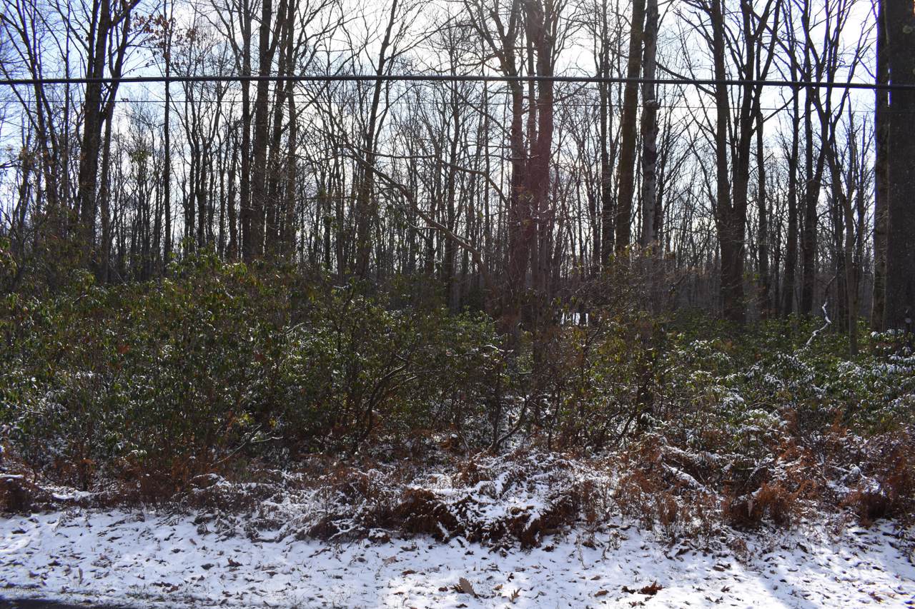 LOT B191 Susquehanna Dr - Photo 1