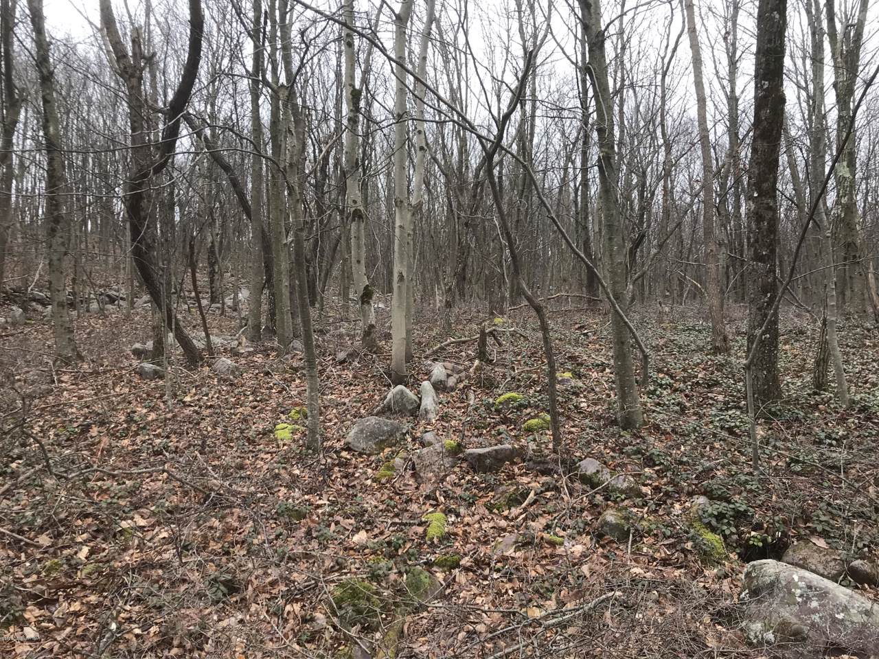 Lot#A216 Black Walnut Ln - Photo 1