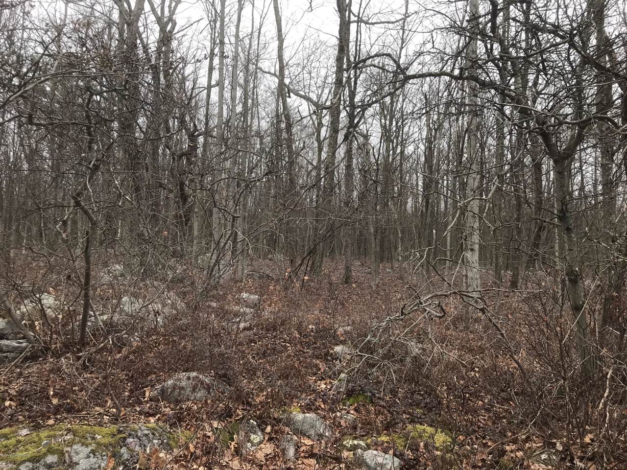 Lot#A259 White Oak Ln - Photo 1