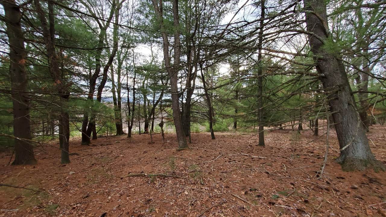 Rt 611 #5 - Photo 1