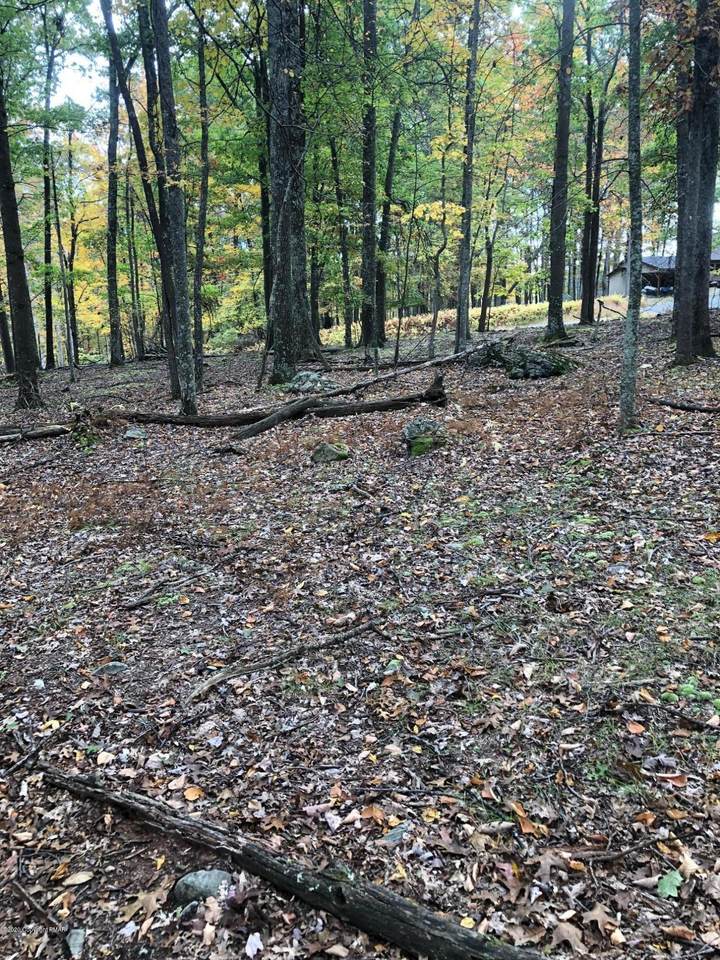 114 Falling Brook Ct - Photo 1