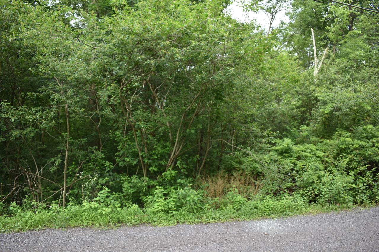 29 Leisure Ln - Photo 1